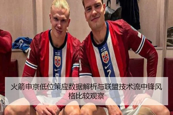 火箭申京低位策应数据解析与联盟技术流中锋风格比较观察