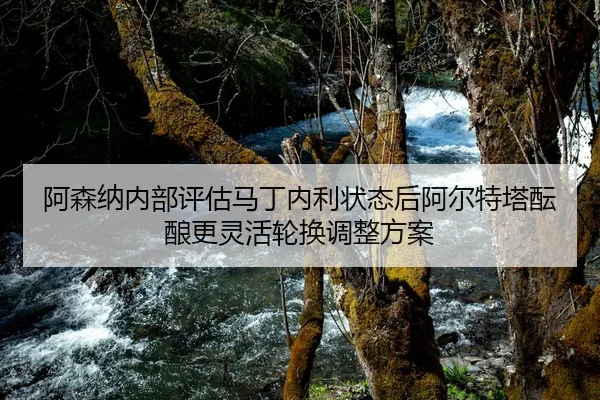 阿森纳内部评估马丁内利状态后阿尔特塔酝酿更灵活轮换调整方案